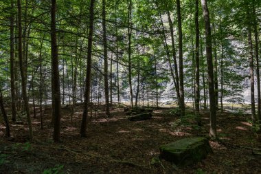 Taughannock Şelalesi: Gorge Yolu