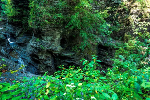 Parque Estadual Watkins Glen — Fotografia de Stock