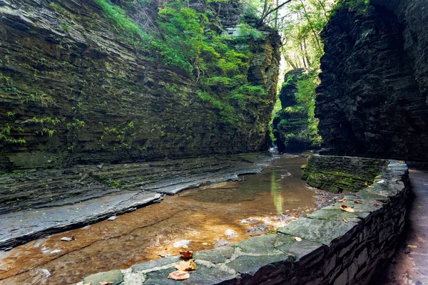 Parque Estatal Watkins Glen — Foto de Stock