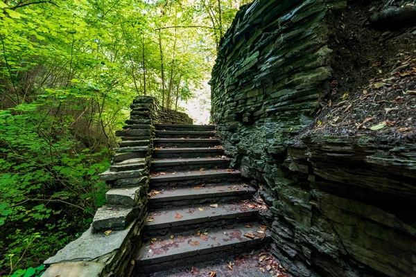 Parque Estatal Watkins Glen — Foto de Stock