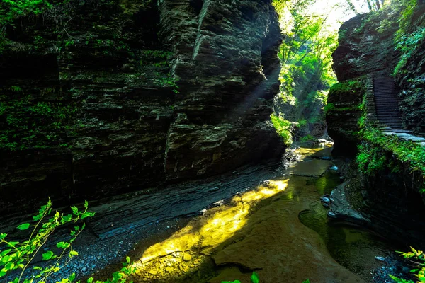 Parque Estatal Watkins Glen — Foto de Stock