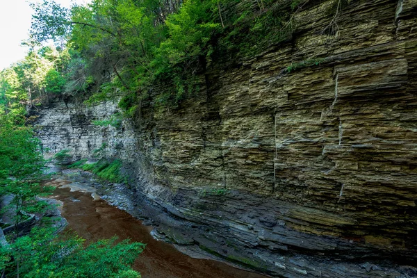 Parque Estadual Watkins Glen Fotos De Bancos De Imagens