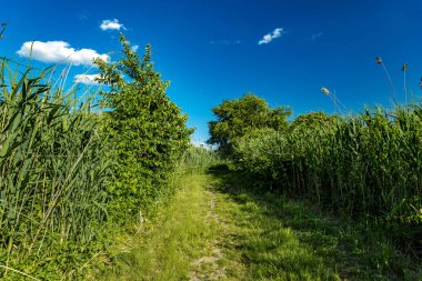 Deniz yolu manzaralı, Gil Hodges Memorial Köprüsü Millstone Patikası 'ndan Ölü At Koyu' na doğru.