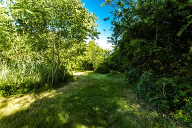 Millstone yolunda, Cam Şişe Sahili ve Ölü At Körfezi 'ne doğru, Barren Adası / Floyd Bennett Sahası' nda.