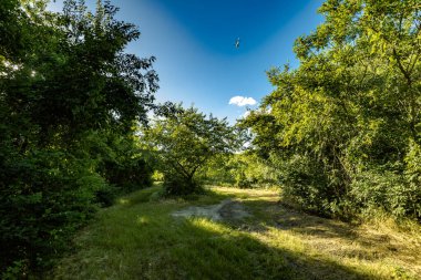 Millstone yolunda, Cam Şişe Sahili ve Ölü At Körfezi 'ne doğru, Barren Adası / Floyd Bennett Sahası' nda.