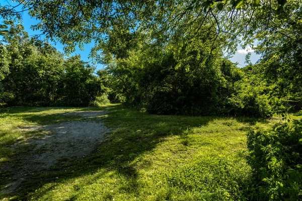 Millstone Trail Dead Horse Bay Barren Island Floyd Bennett Field — стоковое фото