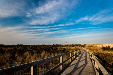 Fire Island Deniz Feneri, Robert Moses Eyalet Parkı, New York, Usa