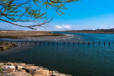 Baharda Marine Park, Brooklyn, Ny