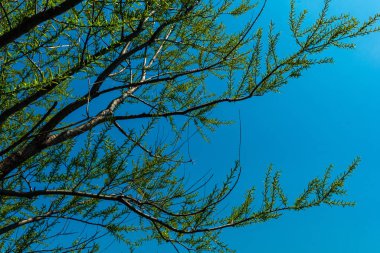 Baharda Marine Park, Brooklyn, Ny