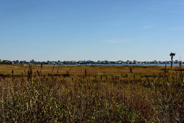 Otoño Jamaica Bay Queens Nueva York — Foto de Stock