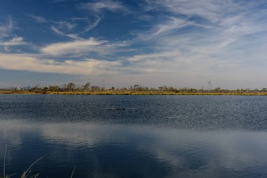 Jamaika Körfezi 'nde sonbahar, Queens, New York, Usa