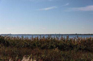 Jamaika Körfezi 'nde sonbahar, Queens, New York, Usa