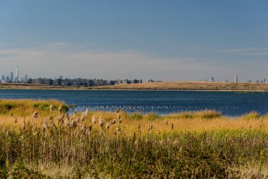 Jamaika Körfezi 'nde sonbahar, Queens, New York, Usa