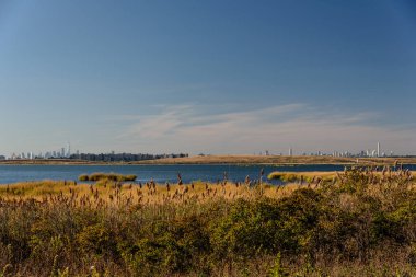 Jamaika Körfezi 'nde sonbahar, Queens, New York, Usa
