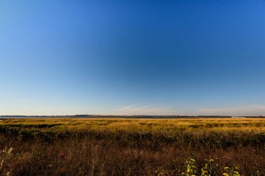 Jamaika Körfezi 'nde sonbahar, Queens, New York, Usa