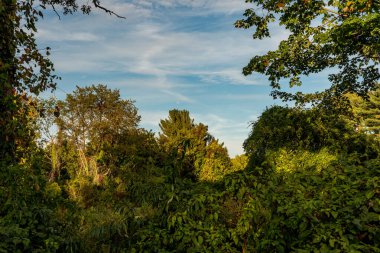 Welvin Park ve Koruma