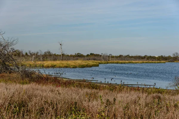 Ősz Jamaica Bay Queens New York Egyesült Államok — Stock Fotó