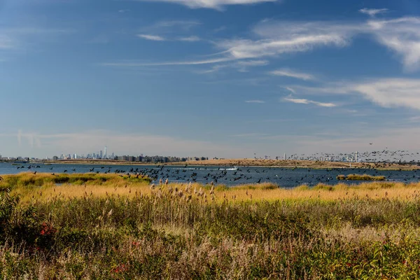 Autumn Jamaica Bay Queens New York Usa — Stock Photo, Image