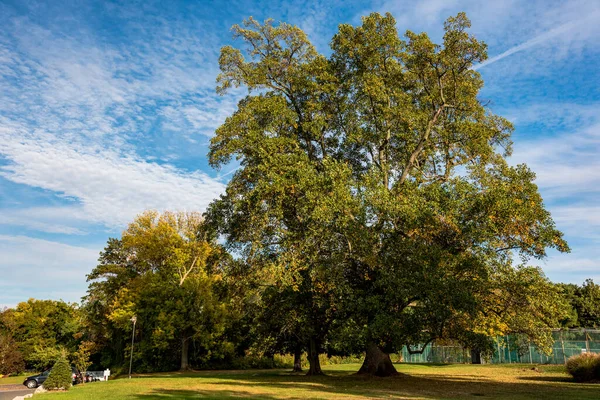 Autunno Sulla Costa Dorata — Foto Stock