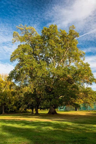 Altın Sahilde Sonbahar