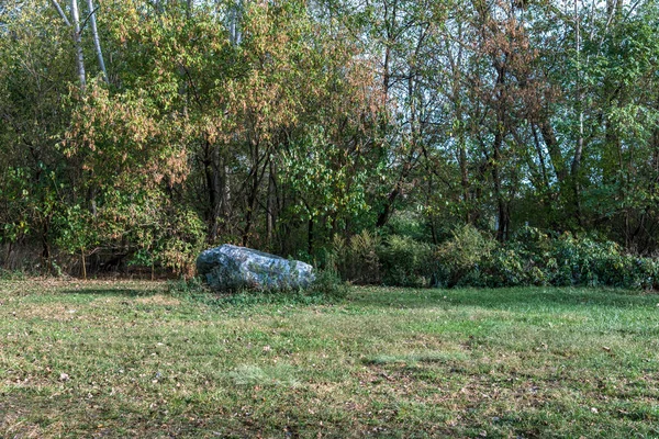 Autumn Powel Cove Park Queens Usa — стоковое фото