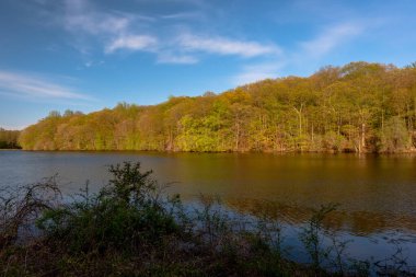 Rockefeller State Park Preserve, New York, ABD 'de baharın ilk belirtileri