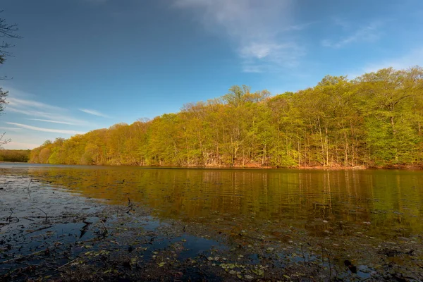 Πρώιμα Σημάδια Της Άνοιξης Rockefeller State Park Preserve Νέα Υόρκη — Φωτογραφία Αρχείου