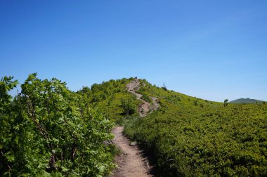 Bieszczady Dağlar manzarada bir görünümünü.