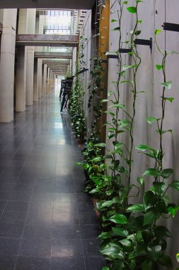 Modern binalar için ilginç çözümler.