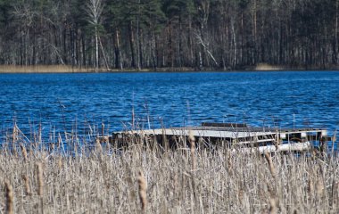 Sosnowica yakınlarındaki Kara Göl manzarası.