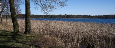 Sosnowica yakınlarındaki Kara Göl manzarası.