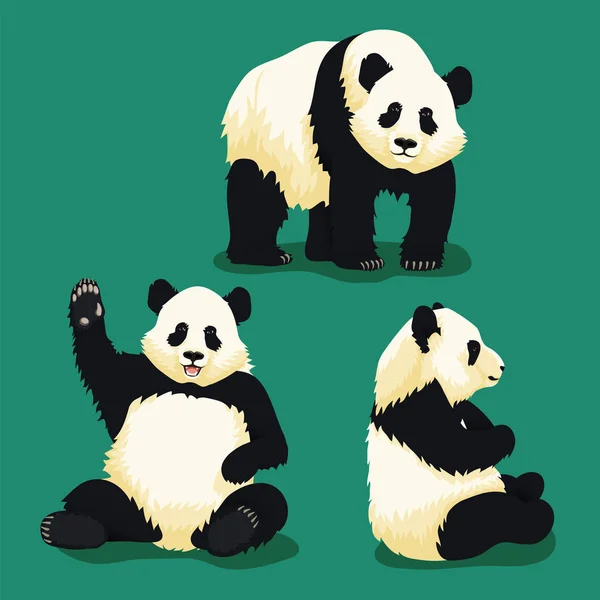 Uppsättning jättepanda illustrationer — Stock vektor