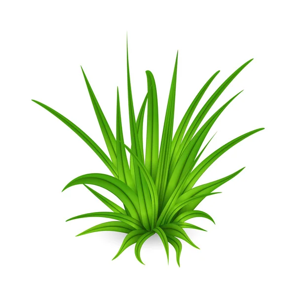 Кучка высокой зеленой травы — стоковый вектор