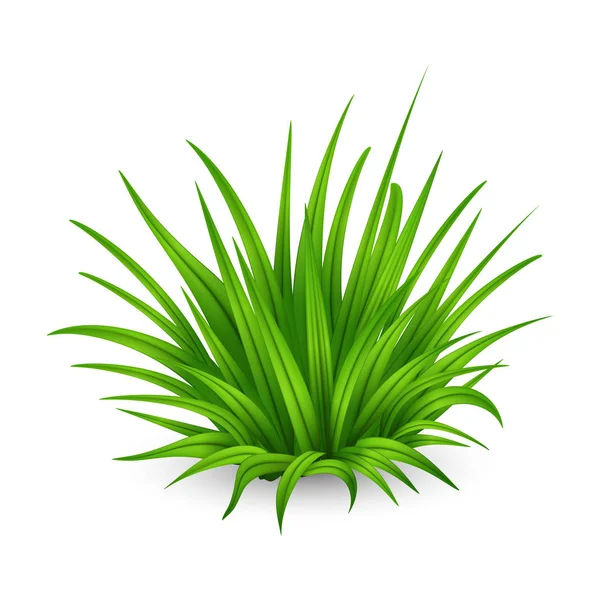 Tjock massa grönt gräs — Stock vektor