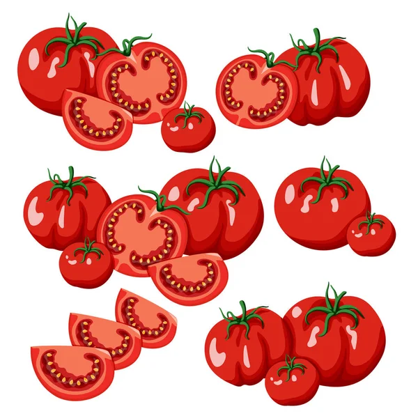 Conjunto de tomates rojos sin golpe — Vector de stock