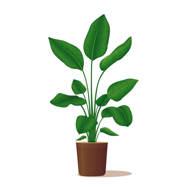 Planta Ornamental Maceta Decoración Del Hogar Ilustración Vectorial Pájaro Del — Vector de stock