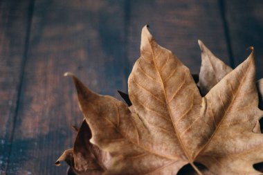Ahşap bir arka planda kuru yapraklar yığınını kapat
