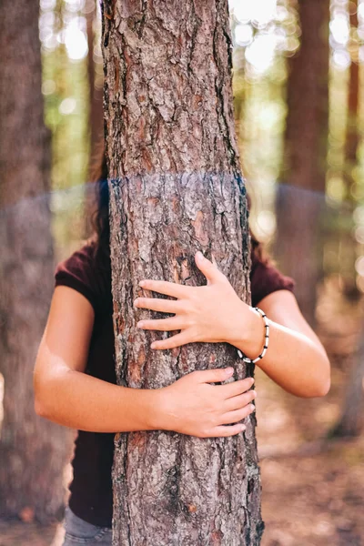 girl hugging a tree in the forest in a sunny day