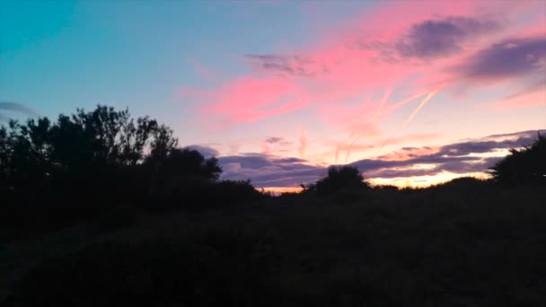 coucher de soleil sur la nature, un ciel coloré 