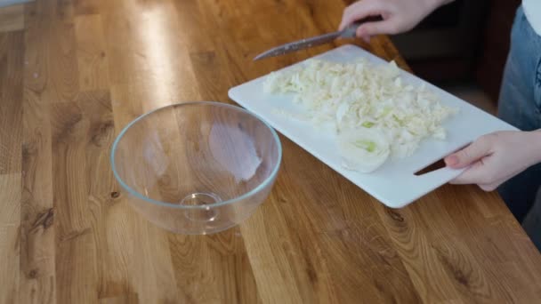 Pregnant Woman Making Her Healthy Meal Cooking Kitchen Handheld Shot — Stock Video