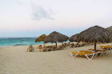 Karayip Denizi, Saona ada beyaz kumlu plajda Hindistan cevizi palmiye ağaçları. Dominik Cumhuriyeti