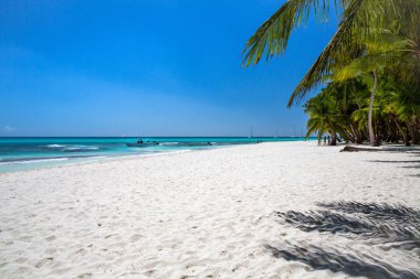 Karayip Denizi, Saona ada beyaz kumlu plajda Hindistan cevizi palmiye ağaçları. Dominik Cumhuriyeti