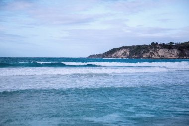Karayip Denizi, Saona ada beyaz kumlu plajda Hindistan cevizi palmiye ağaçları. Dominik Cumhuriyeti