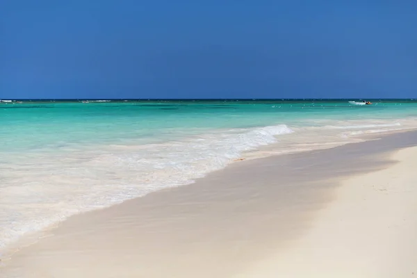 Φοίνικες Στην Παραλία Λευκή Άμμο Στην Καραϊβική Θάλασσα Σαόνα Δομινικανή — Φωτογραφία Αρχείου