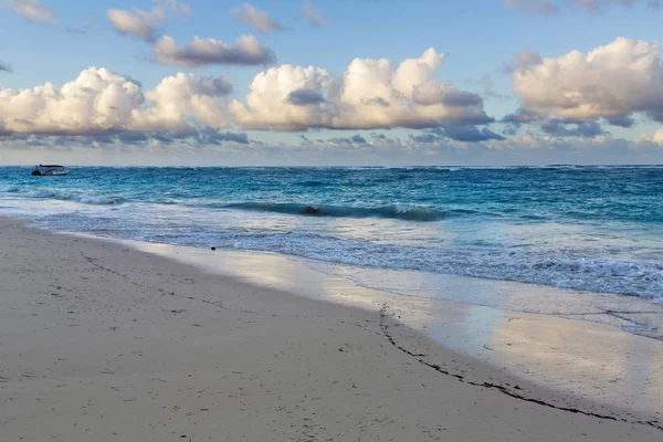 Karayip Denizi, Saona ada beyaz kumlu plajda Hindistan cevizi palmiye ağaçları. Dominik Cumhuriyeti