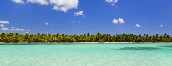 Palme Cocco Sulla Spiaggia Sabbia Bianca Nel Mare Dei Caraibi — Foto Stock