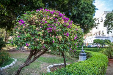 Güzel güneşli Palermo, Sicilya, İtalya