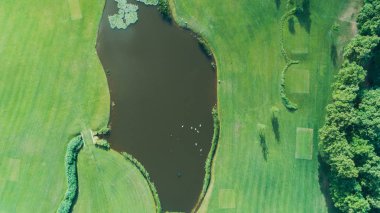Nehrin havadan görünümü. Golf Sahası.