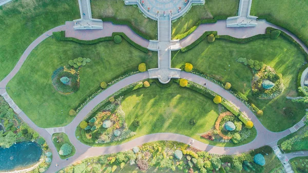 Aerial view of the garden. Green grass.