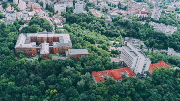 Ormanın Içinde Binaların Havadan Görünümü — Stok fotoğraf